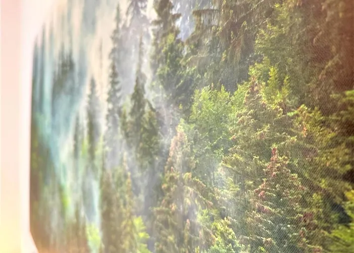 Appartamento Cozy In Bavarian Forest +pool +sauna +netflix Zwiesel