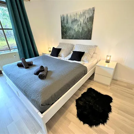 Cozy In Bavarian Forest +pool +sauna +netflix Apartment Zwiesel
