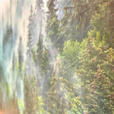 Apartment Cozy In Bavarian Forest +pool +sauna +netflix Zwiesel