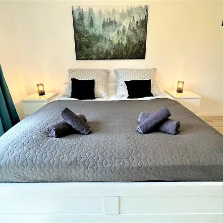 Apartment Cozy In Bavarian Forest +pool +sauna +netflix Zwiesel